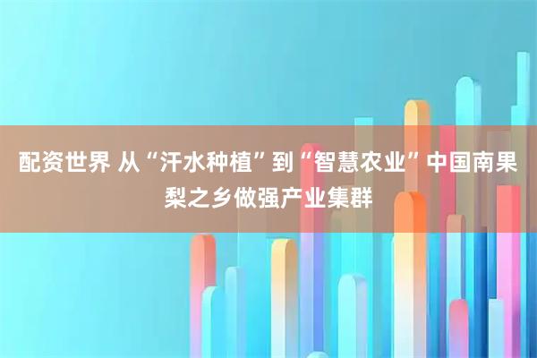 配资世界 从“汗水种植”到“智慧农业”中国南果梨之乡做强产业集群