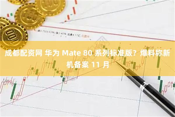 成都配资网 华为 Mate 80 系列标准版？爆料称新机备案 11 月